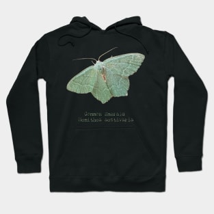 Beautiful Teal-colored Moth Hoodie